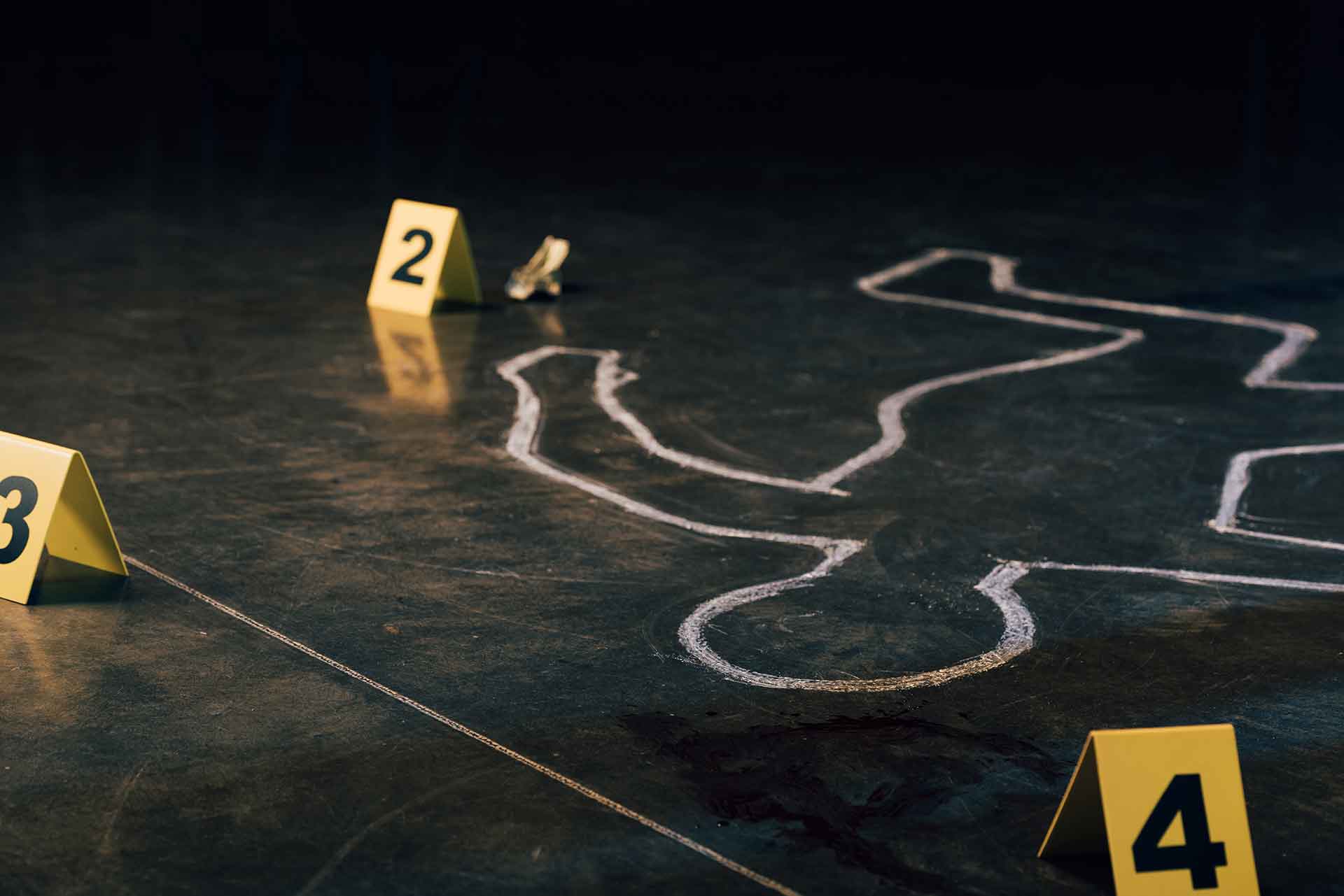 Casi penali di alto profilo - Caso di triplice omicidio Thijs H.